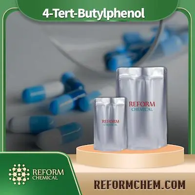 4-Tert-Butylphénol