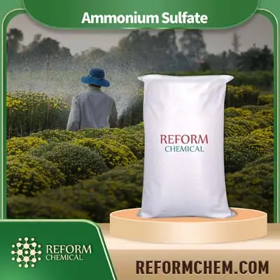 Sulfate d'ammonium