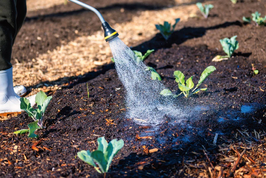 Les produits chimiques sont utilisés dans l'industrie agricole