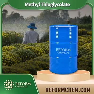 Thioglycolate de méthyle