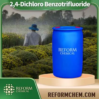 2,4-Dichloro Benzotrifluorure