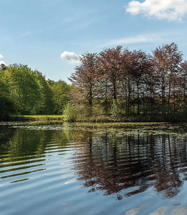 Les produits chimiques sont utilisés pour la protection de l'environnement