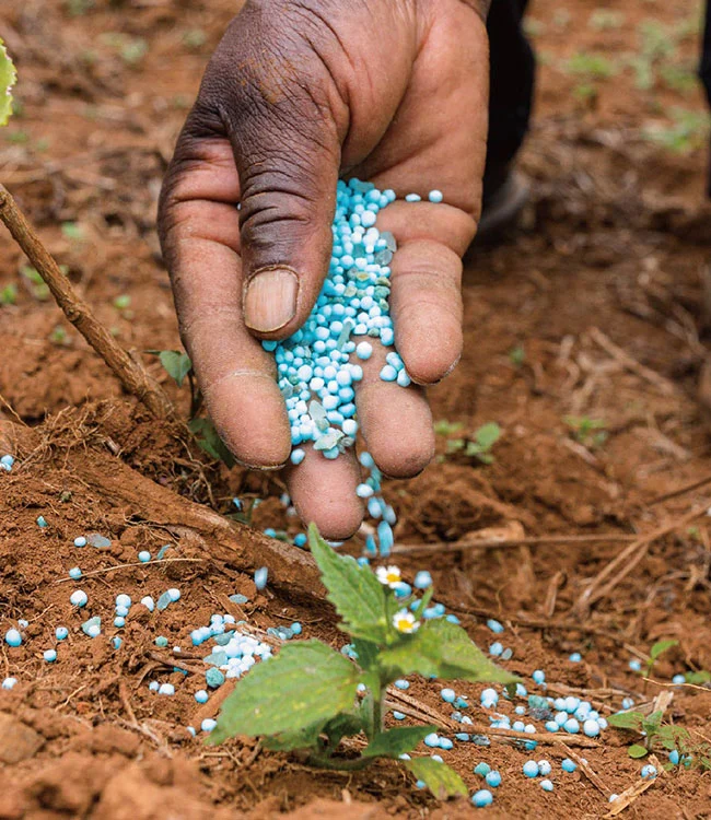 Les produits chimiques sont utilisés dans l'industrie agricole