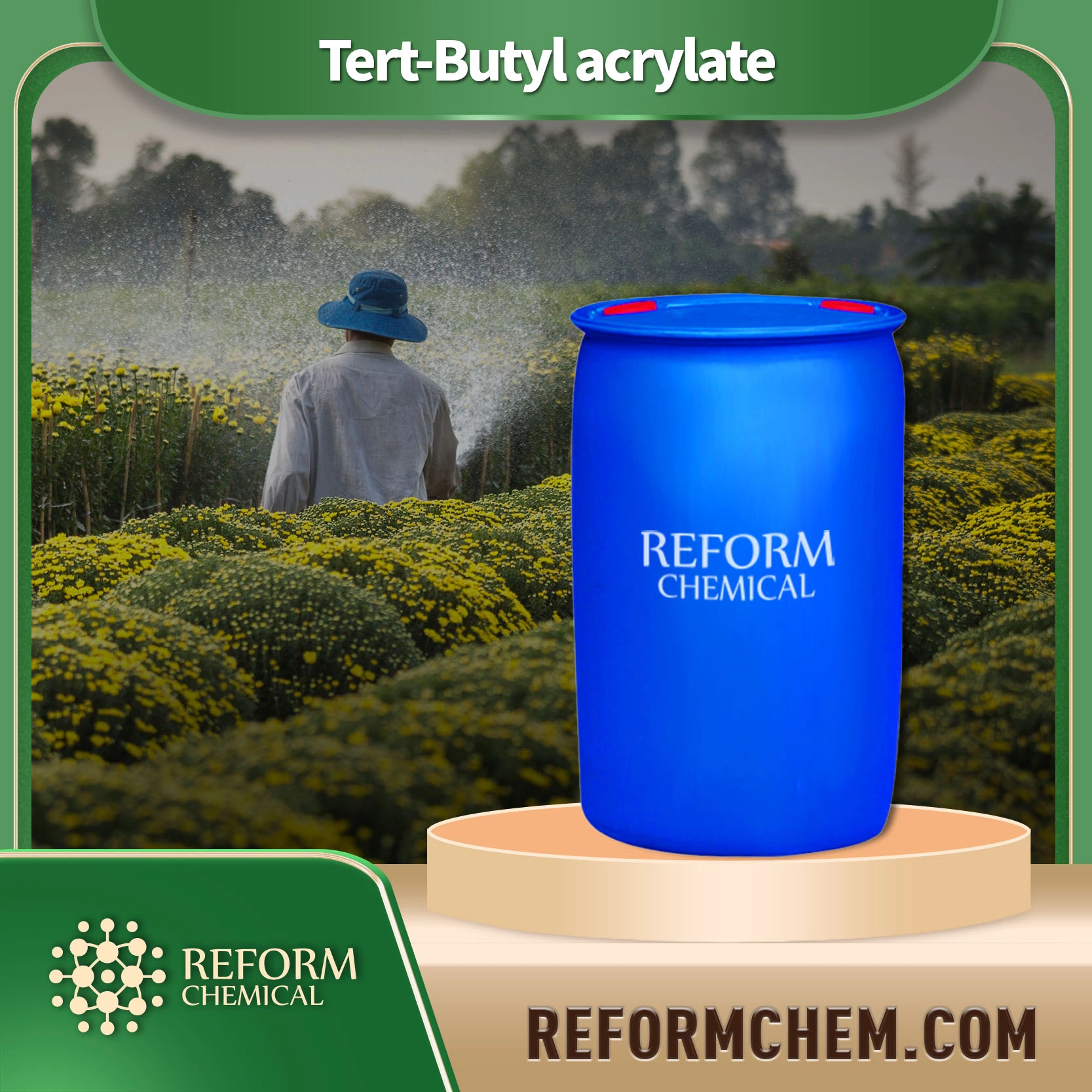 Acrylate de tert-butyle