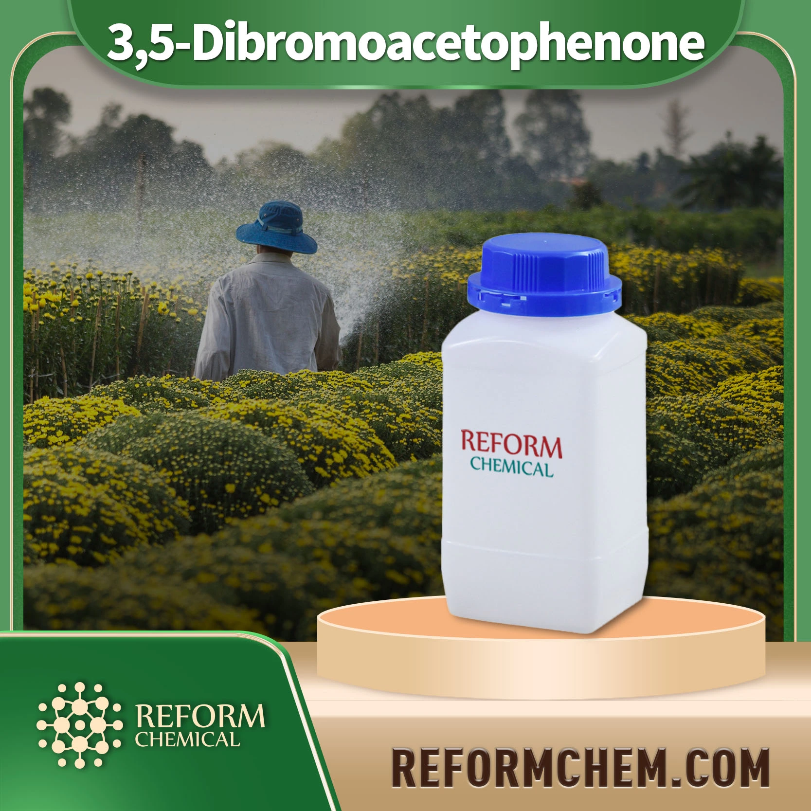 3,5-dibromoacétophénone