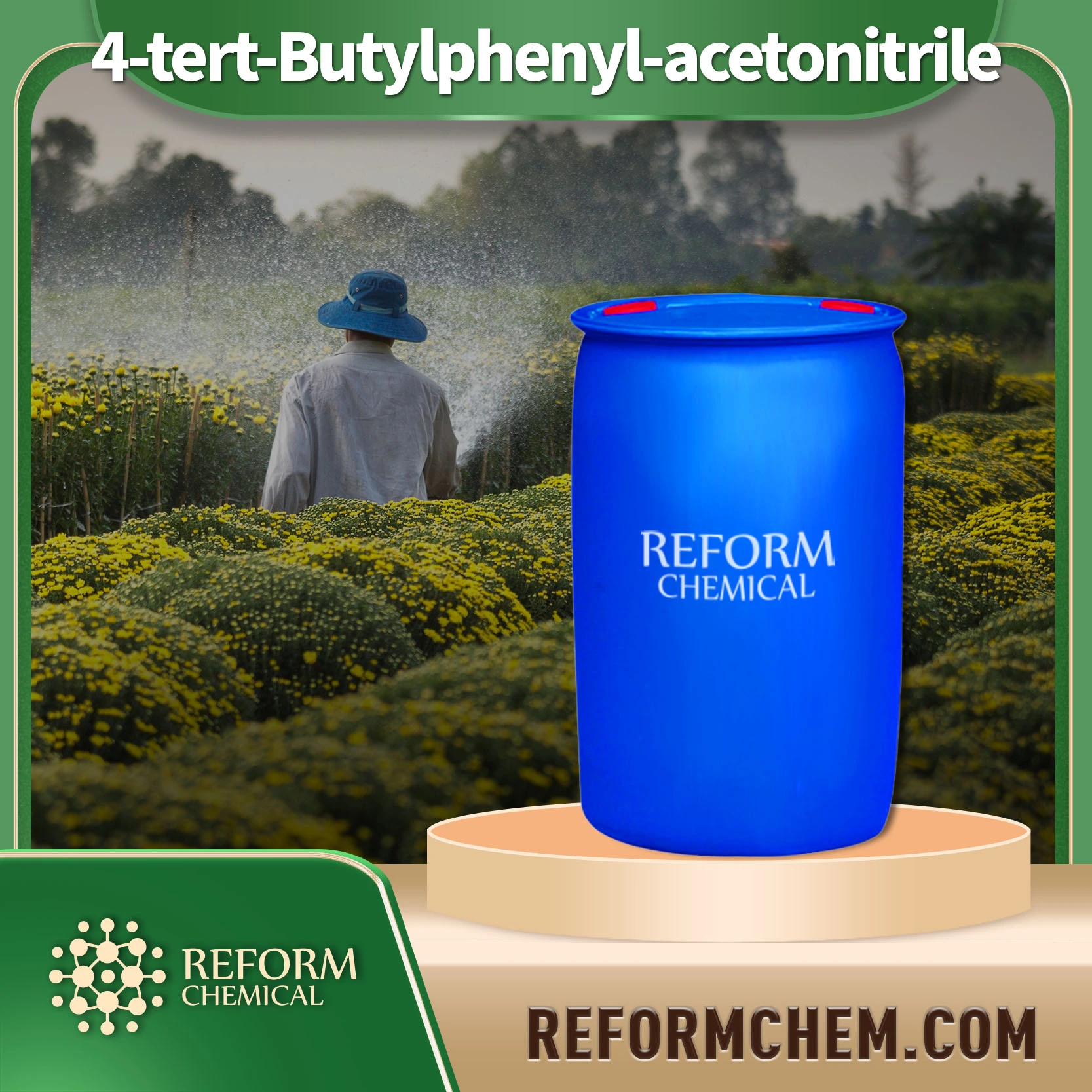 4-tert-butylphényl-acétonitrile