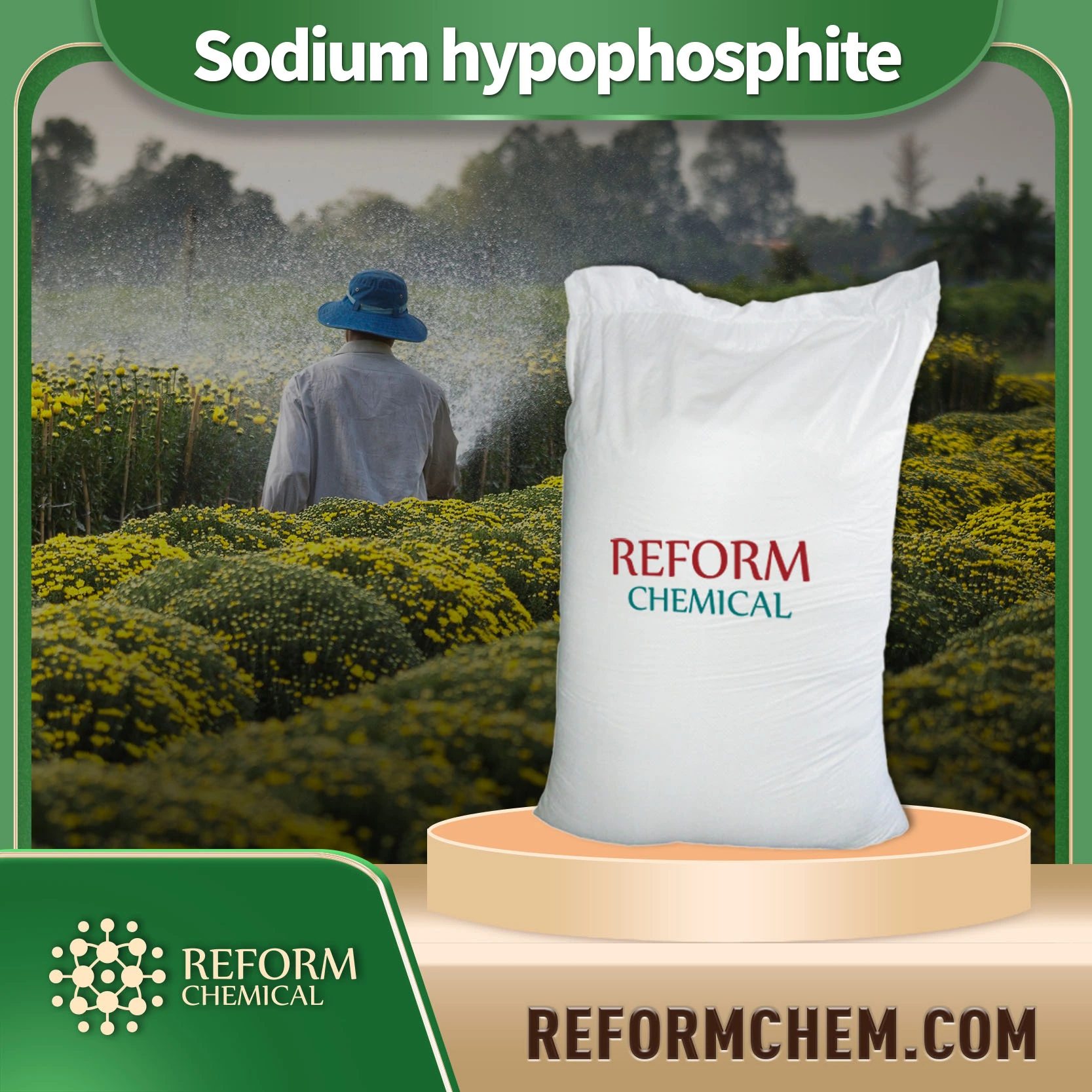 sodium hypophosphite 7681 53 0