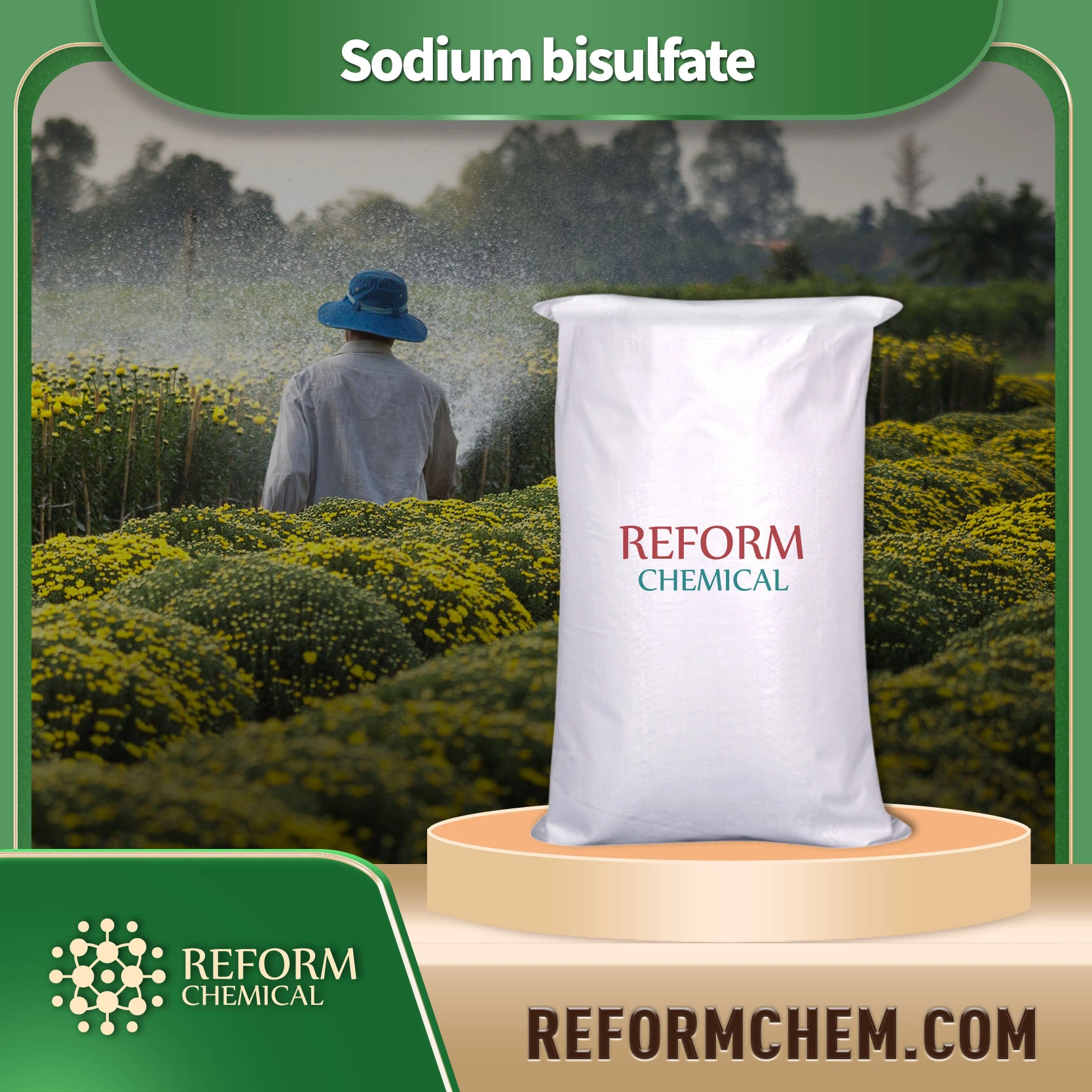 Bisulfate de sodium