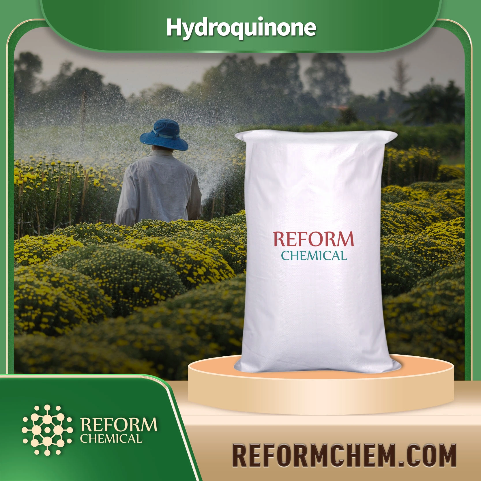 Hydroquinone