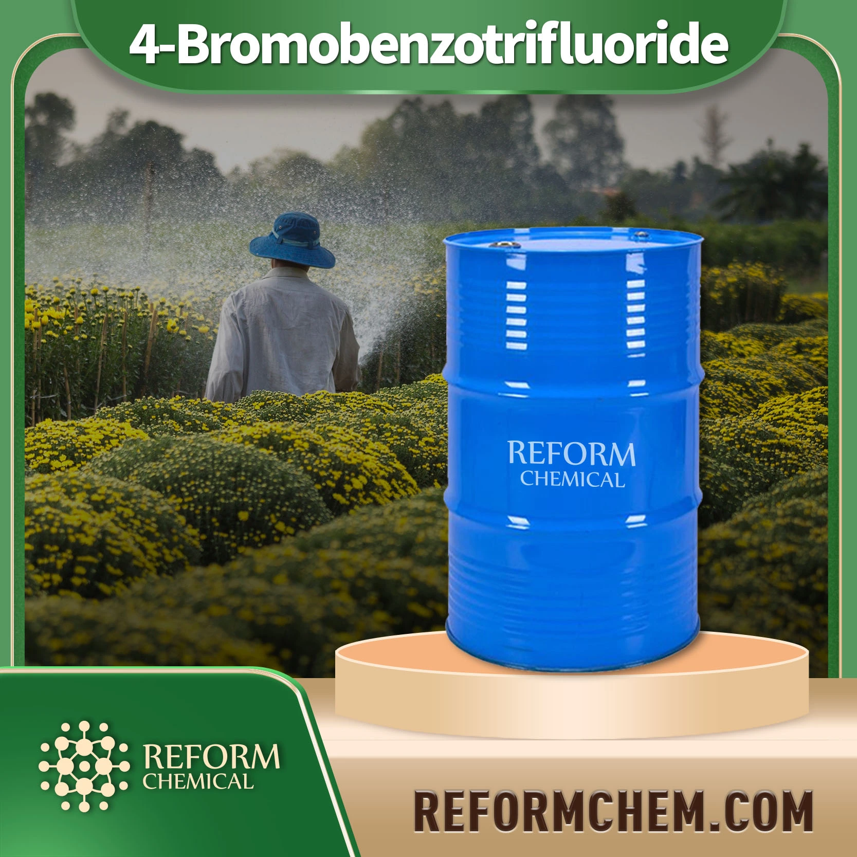 4 bromobenzotrifluoride 402 43 7