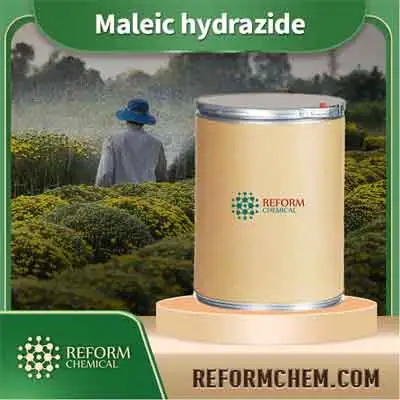 Hydrazide maléique