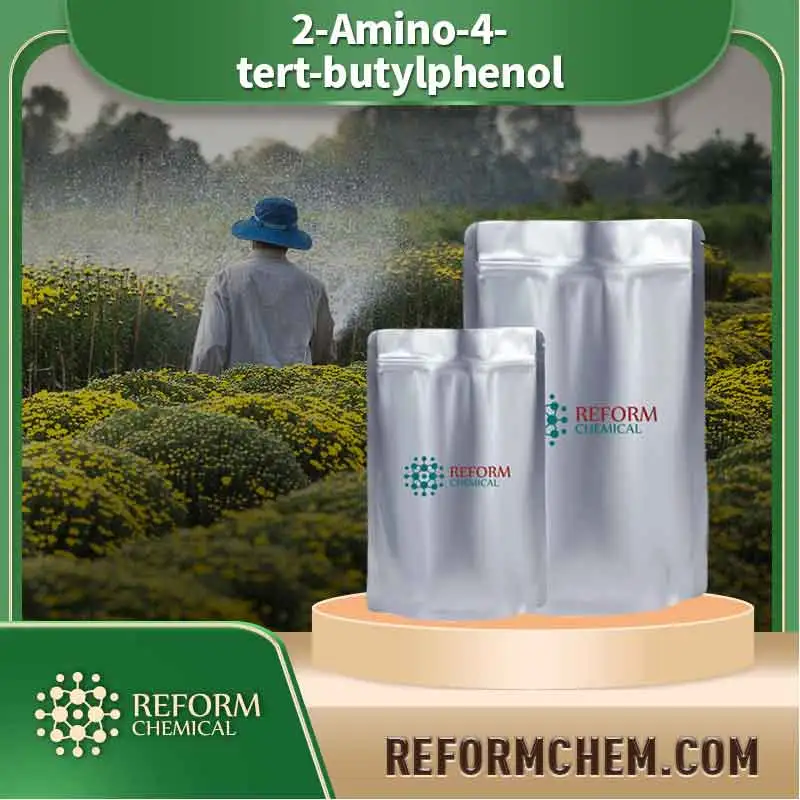 2 amino 4 tert butylphenol 1199 46 8